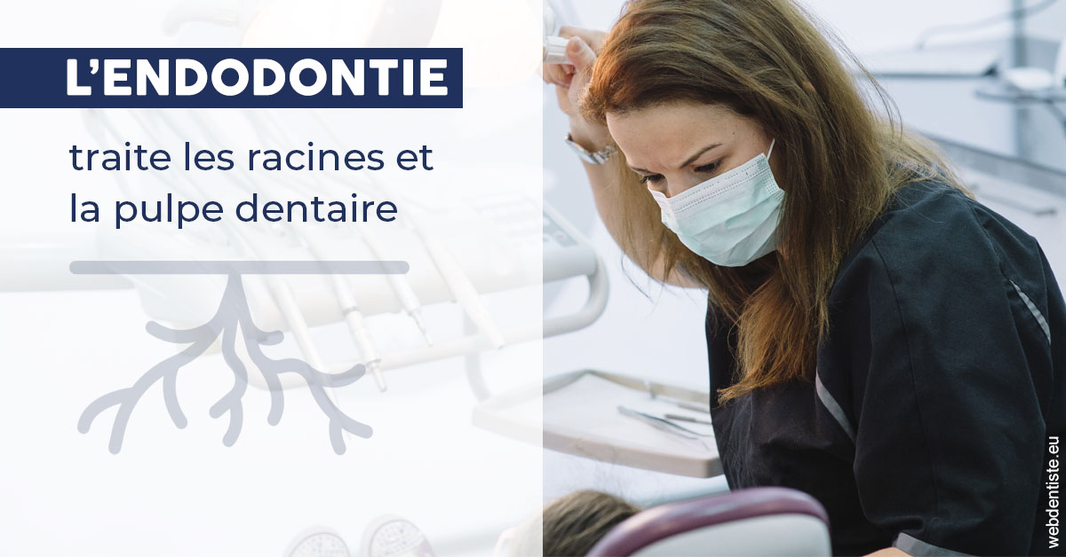 https://dr-brenda-mertens.chirurgiens-dentistes.fr/L'endodontie 1