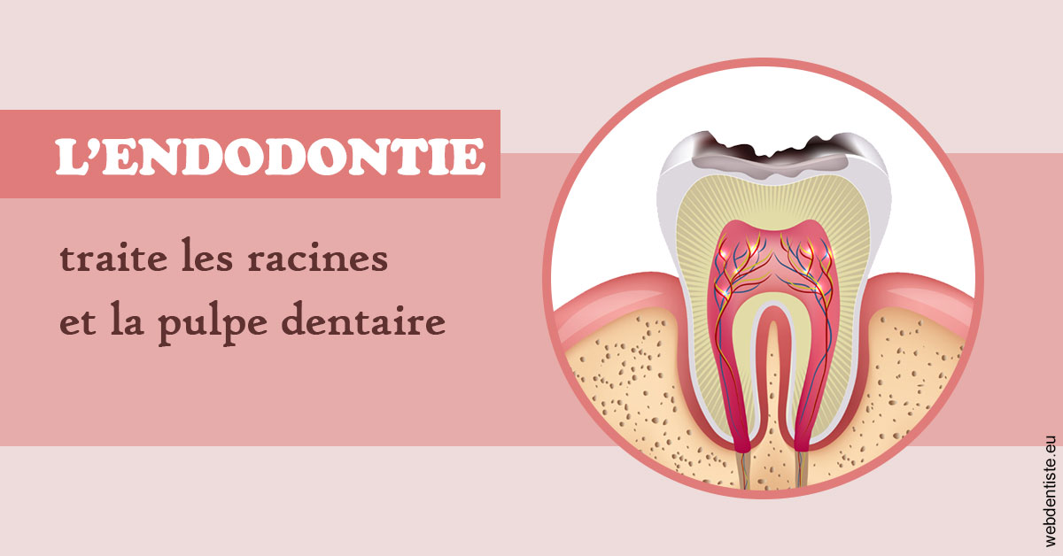 https://dr-brenda-mertens.chirurgiens-dentistes.fr/L'endodontie 2