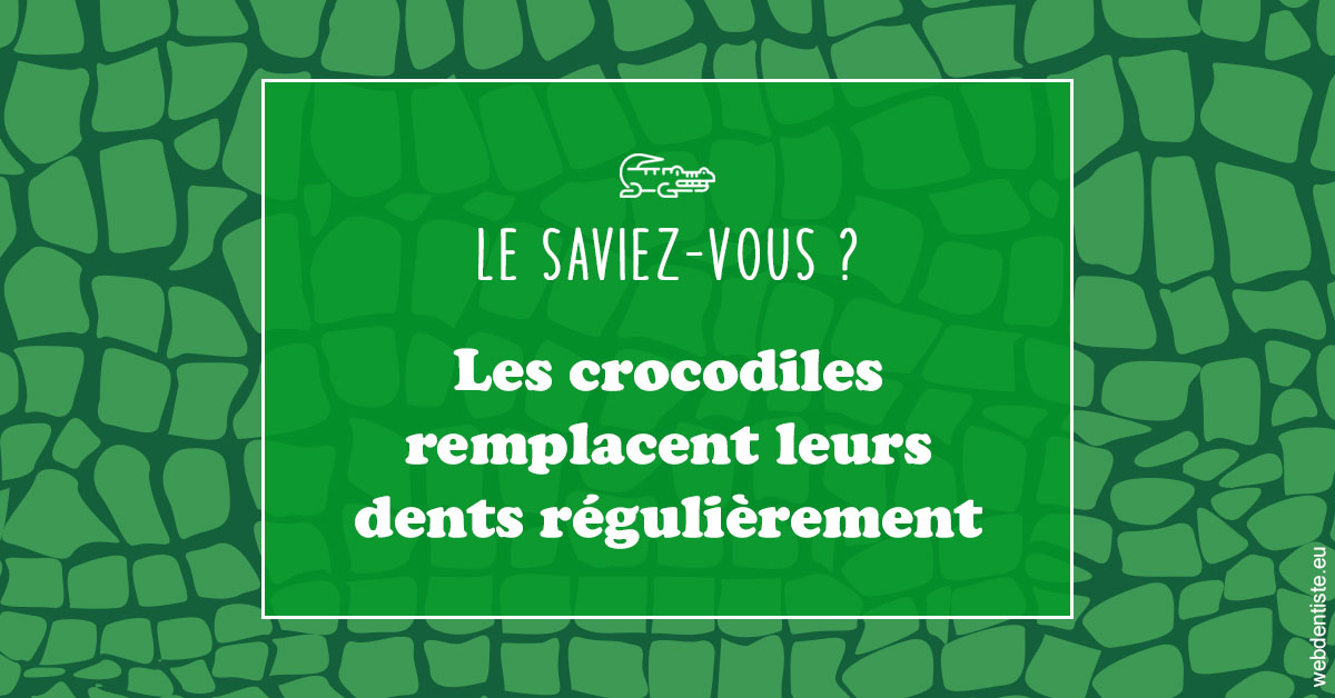 https://dr-brenda-mertens.chirurgiens-dentistes.fr/Crocodiles 1